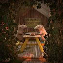 Thumb 5dd05e97289dd203d7000001