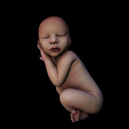 Web 5a74d216289dd2646c000001