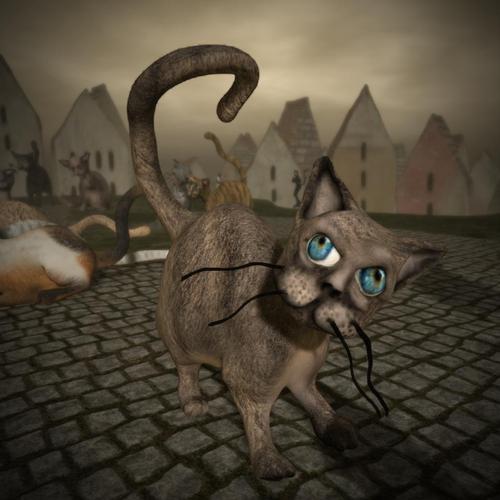 Web 5a7b4a2cd9859c3736000001