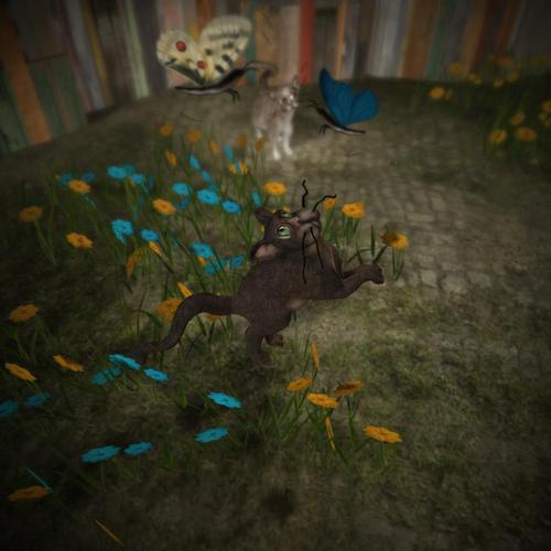 Web 5a7b4c83289dd26f44000001