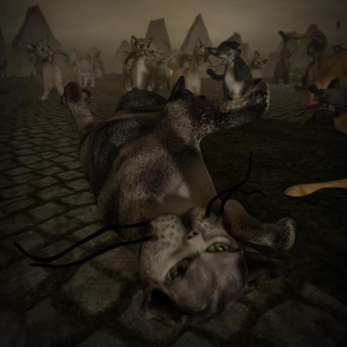 Web 5a7b4fd2289dd210a0000001