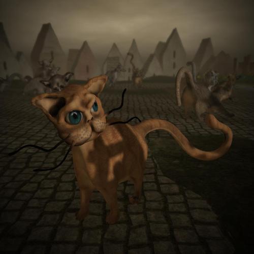 Web 5a7b5214d774f84250000001