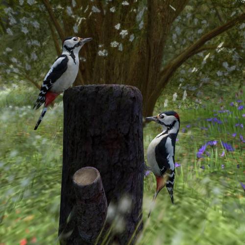 Web 5a8771dfd9859c0aa0000001