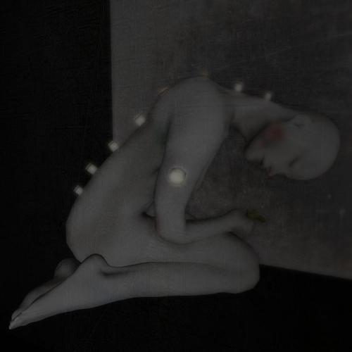 Web 5aa5f632289dd20ba9000001