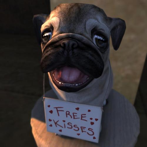 Web 5b8598f3d9859c196e000001