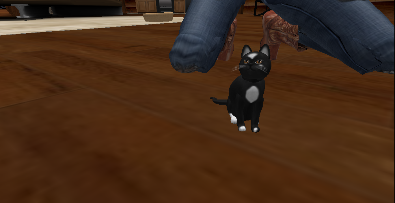 Original 4f02668f308ba551d9000001