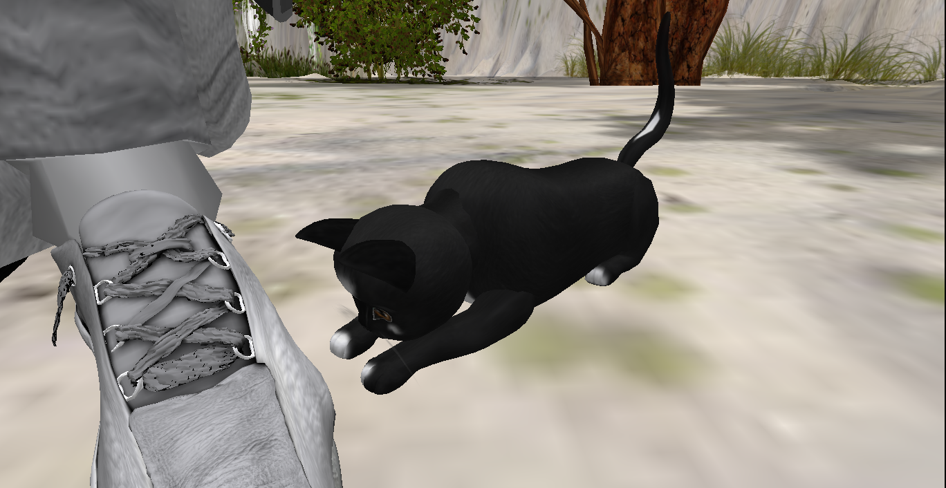 Original 502ab947f583034550000001