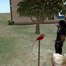 Thumb 500331f8b2c4da33de000001