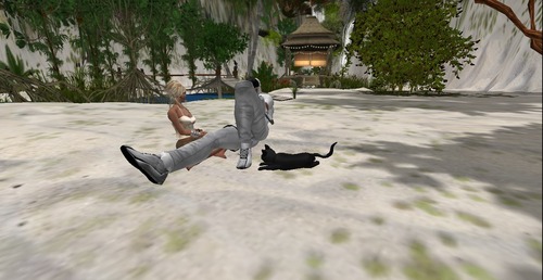 Web 502ab8a919b854537e000001