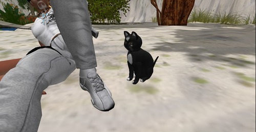 Web 502ab900e99a694ae6000001