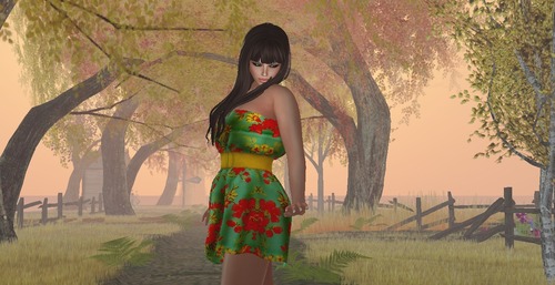 Web 522c98bdfd96431f6d000001