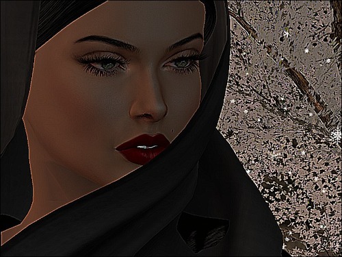 Web 5890746eb015400b19000001