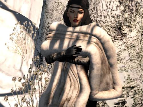 Web 5a45528a73ed1736a1000001