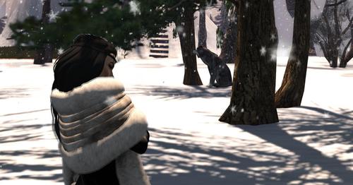 Web 5a4552ffd9859c3952000001