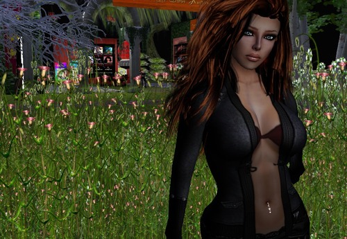 Web 511c6da9cb9a7059ef000001