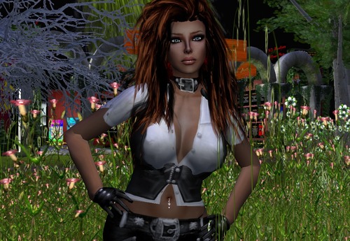 Web 511c6e07cb9a705ad2000001