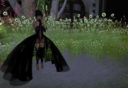 Web 5120f1491adf4d2a09000001