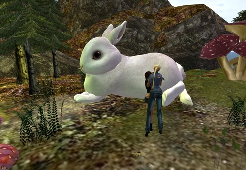 Web 514ba552481db63bfb000001