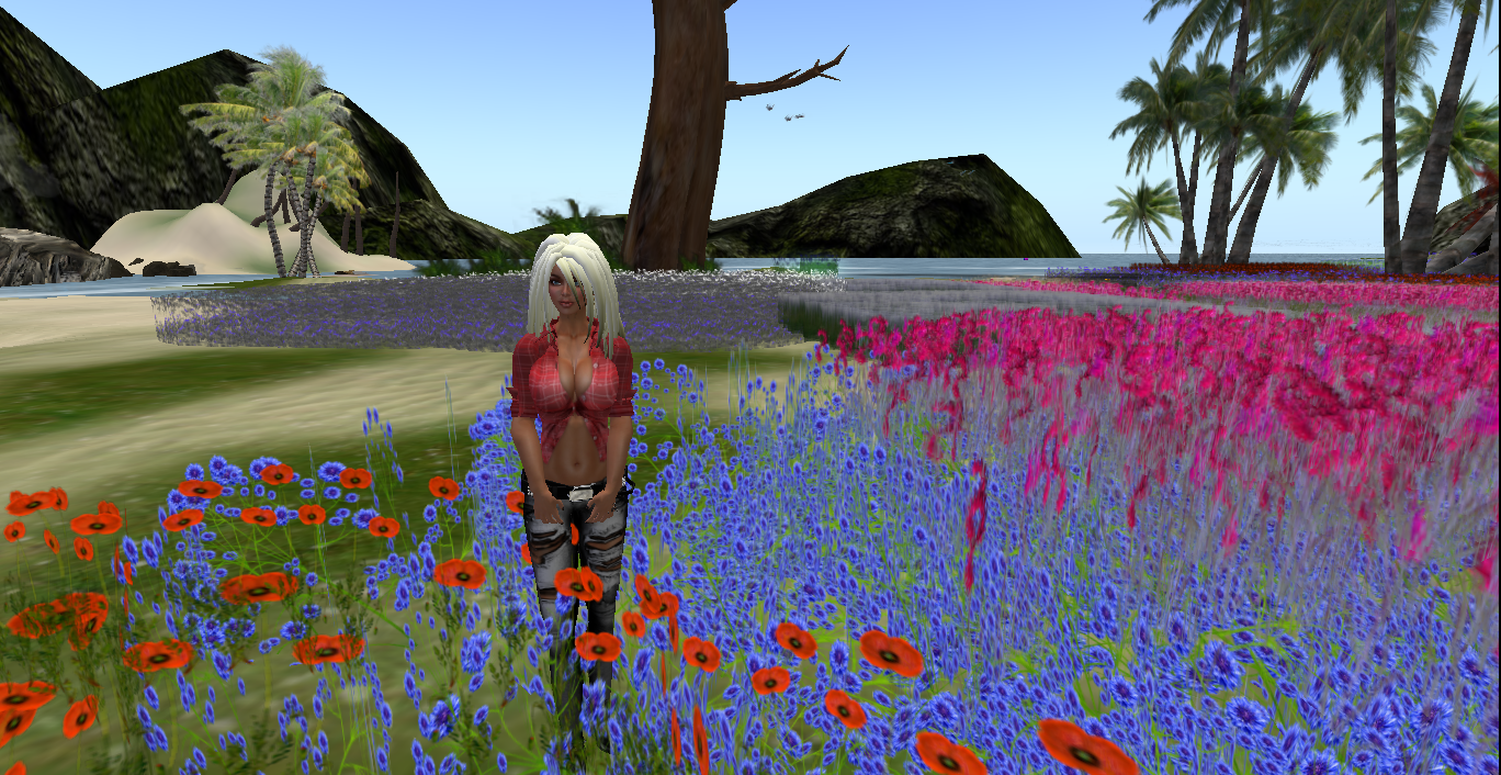 Original 50f4bf2cda4a7e3bc9000001