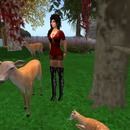 Thumb 50612ba2fa8ece6d93000001