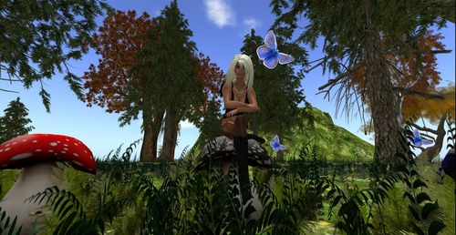 Web 50b3fe6b9ffc33412e000001