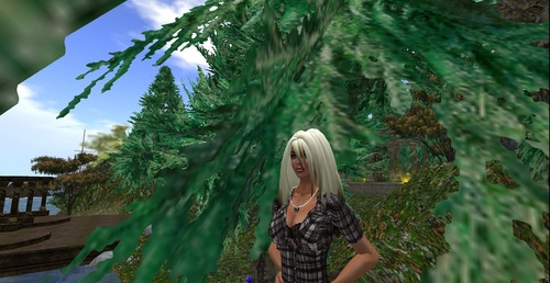 Web 50bc4913859a6539d3000001