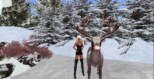 Web 50d3897e1e39e2265d000001