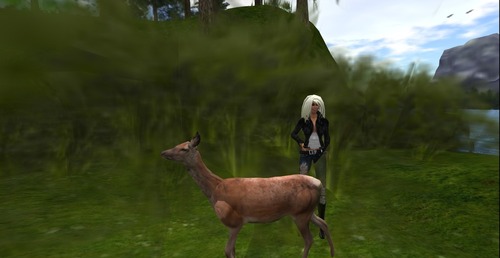 Web 5125cc03ba5ccd05bc000001