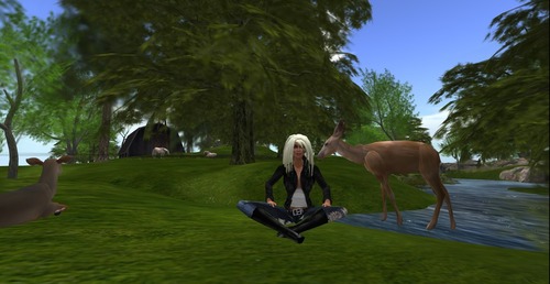 Web 5125ccb2687a024de4000001