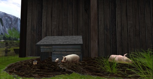 Web 5125d4049cc5d02b39000001