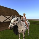 Thumb 5120b7e07f5dc85f7e000001