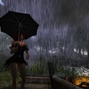 Thumb 52354c27317a9b600d000001