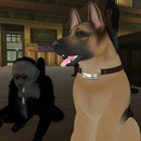 Thumb 501d24eca535cd1f13000001