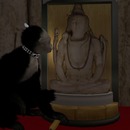 Thumb 509a8d52df5dd60dd2000001