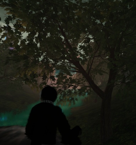 Web 501d7d9402f800633b000001