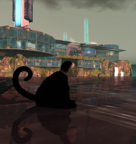 Web 501d87b7e094844239000001