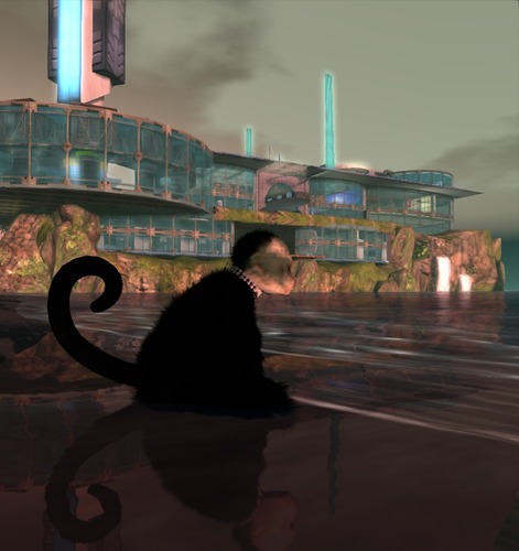 Web 501d882637f59a7da0000001