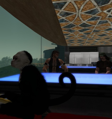 Web 501d929e478d3c4cae000001