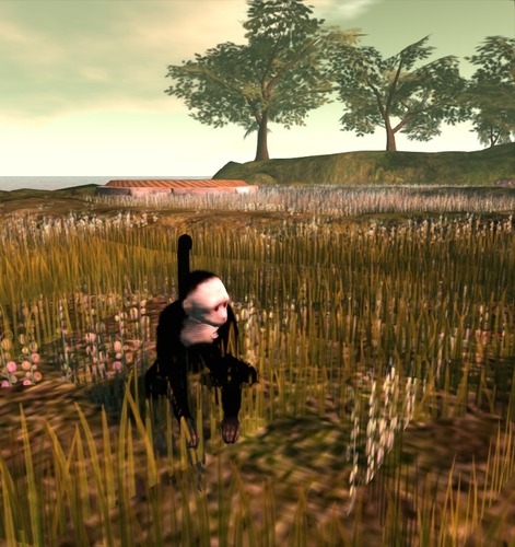 Web 501e9af308e7c92c6a000001