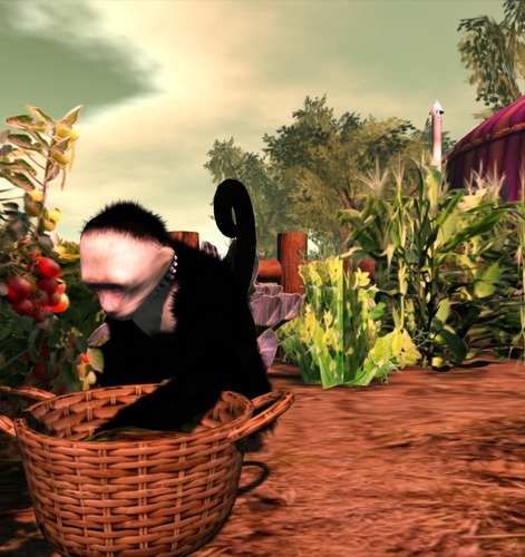 Web 501eb9fe08e7c95e6e000001