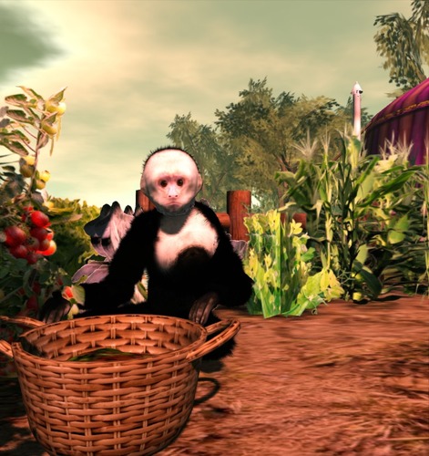 Web 501ebac904adba757d000001