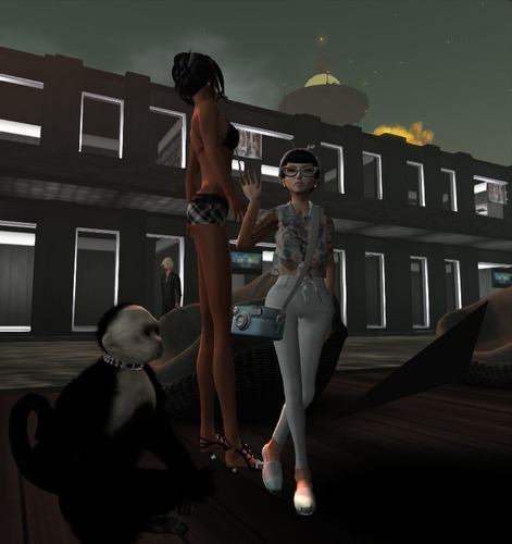 Web 50213df5e42e7c28d3000001