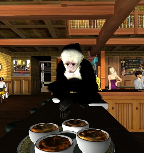 Web 502c2c35e308b201e1000001