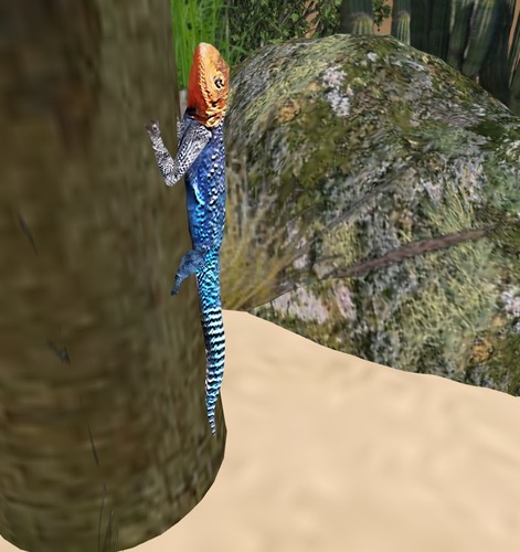 Web 50c7c7e290afbf16c9000001