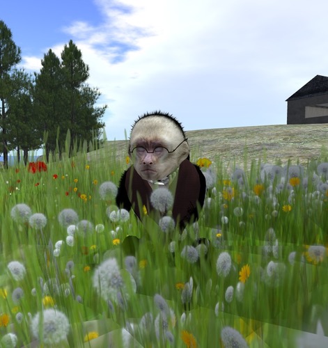 Web 50c7d2ed73312244ed000001