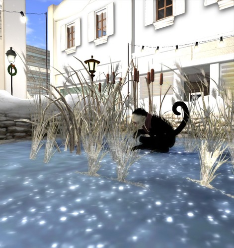 Web 50ccfbab514d015613000001