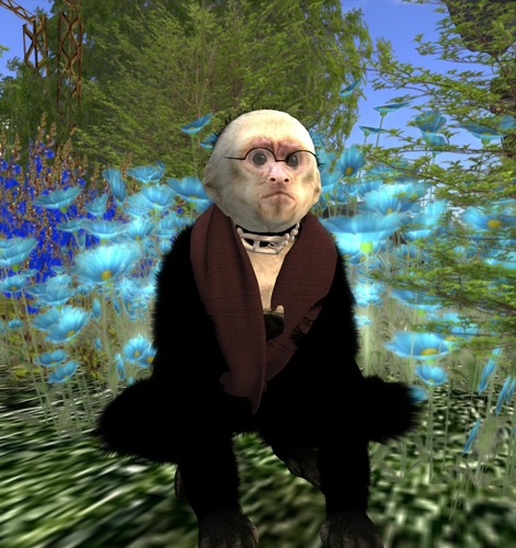 Web 50cd16415cd8e02353000001