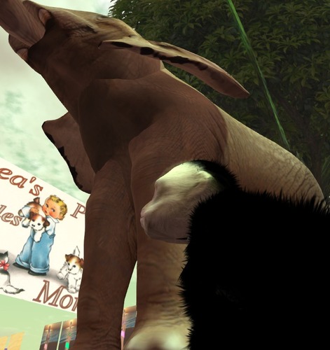 Web 518bb0120b949658cd000001