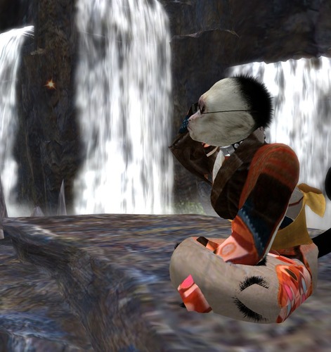 Web 51ef3682cdf061449a000001