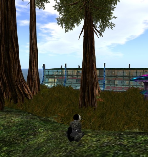 Web 51f033851c28407780000001